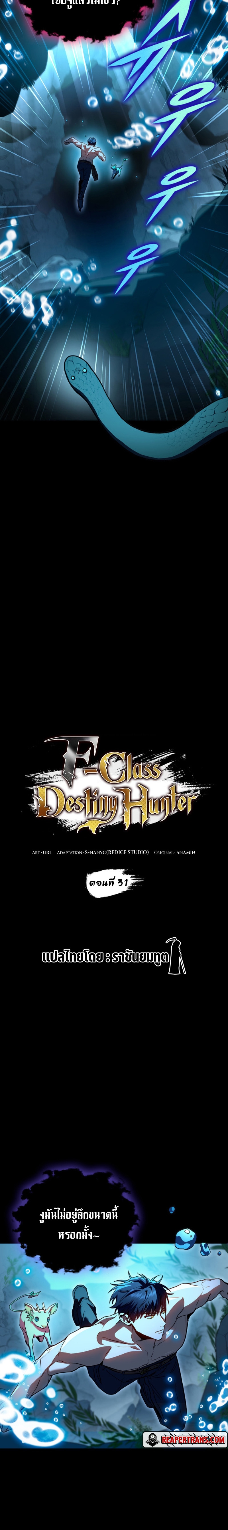 F Class Destiny Hunter 31.04